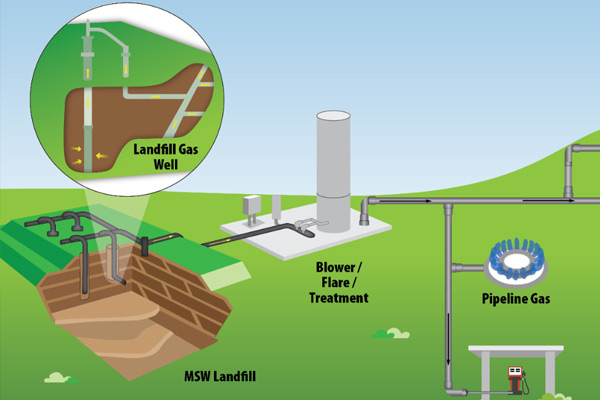 Biogas and Fertilizer